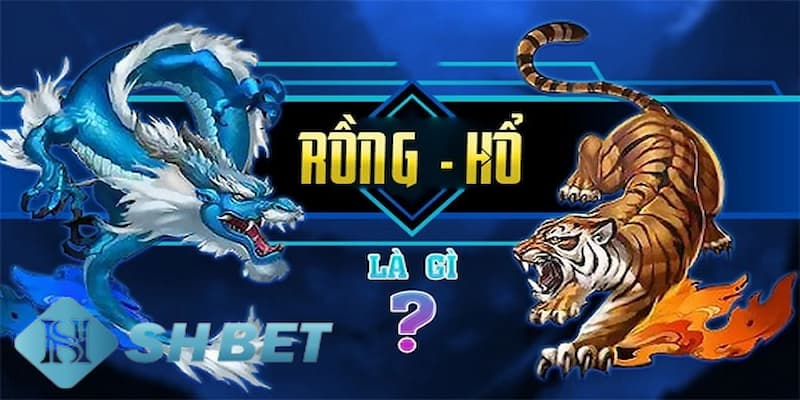 Vai trò khi tìm hiểu bí quyết chơi rồng hổ online