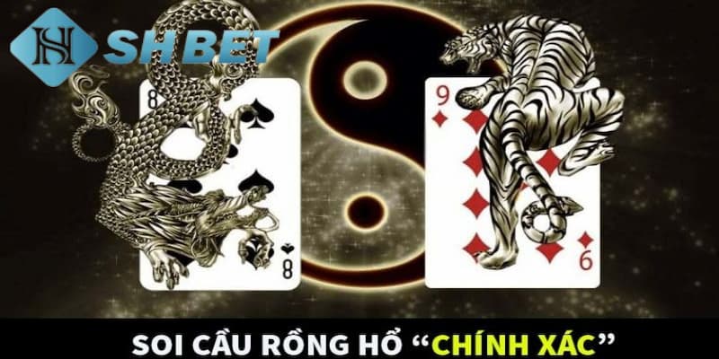 Bật mí các cách soi cầu Rồng Hổ cực chuẩn cho anh em