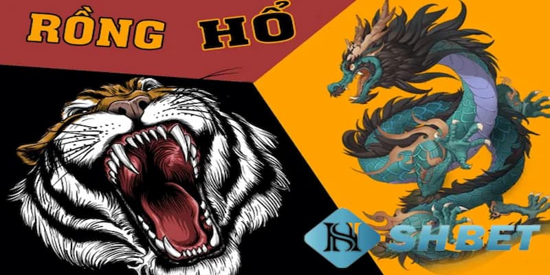 Rồng hổ là gì?