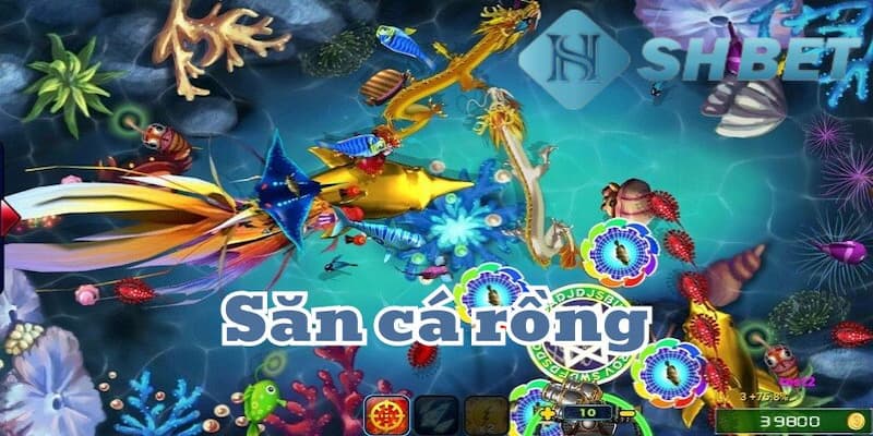 Khái quát về tựa game bắn cá ngọc rồng