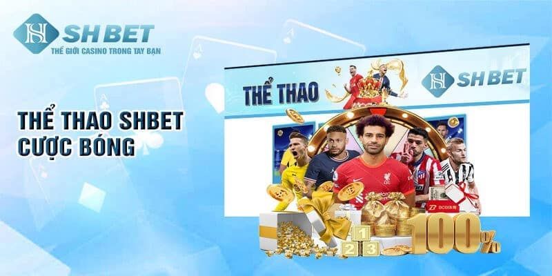 Đa dạng bộ môn thể thao và giải đấu