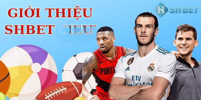 Giới thiệu giao diện hiện đại