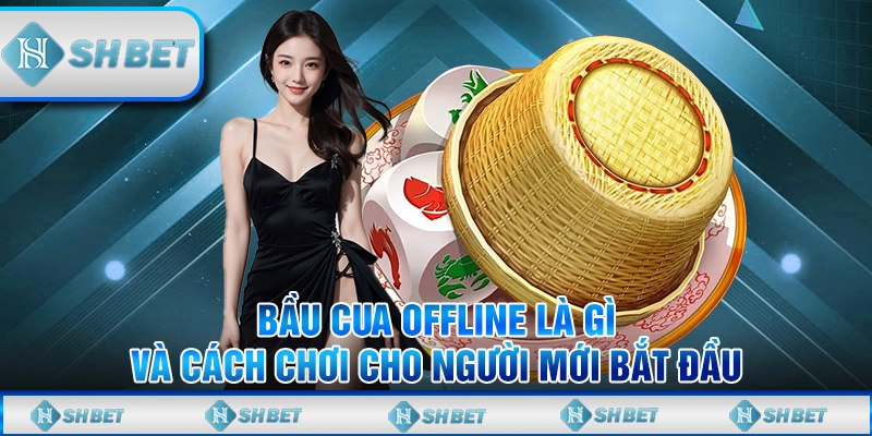 Bầu Cua Offline Là Gì Và Cách Chơi Cho Người Mới Bắt Đầu