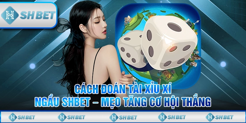 Cách Đoán Tài Xỉu Xí Ngầu SHBET – Mẹo Tăng Cơ Hội Thắng