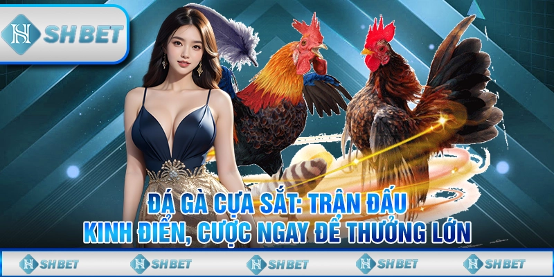 Đá Gà Cựa Sắt: Trận Đấu Kinh Điển, Cược Ngay Để Thưởng Lớn