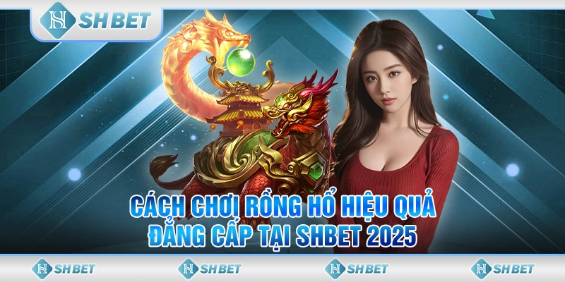 Cách Chơi Rồng Hổ Hiệu Quả, Đẳng Cấp Tại SHBET 2025