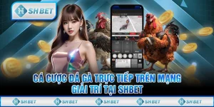 Cá Cược Đá Gà Trực Tiếp Trên Mạng - Giải Trí Tại SHBET