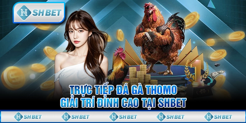 Trực Tiếp Đá Gà Thomo - Giải Trí Đỉnh Cao Tại SHBET