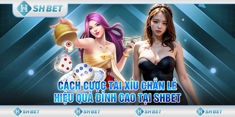 Cách Cược Tài Xỉu Chẵn Lẻ Hiệu Quả Đỉnh Cao Tại SHBET