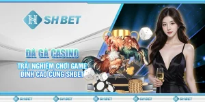 Đá Gà Casino - Trải Nghiệm Chơi Game Đỉnh Cao Cùng SHBET