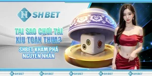 Tại Sao Chơi Tài Xỉu Toàn Thua - SHBET Khám Phá Nguyên Nhân