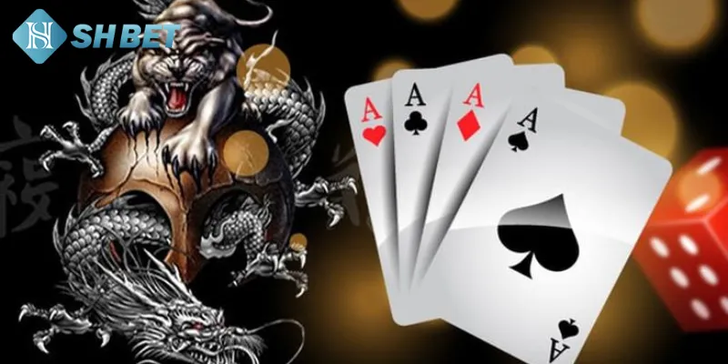 Chiến lược để đặt cửa Rồng và cửa Hổ bất bại từ cao thủ Shbet