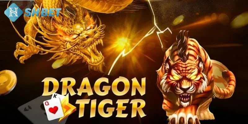 Những chiến thuật chơi game bài mà bạn nên áp dụng