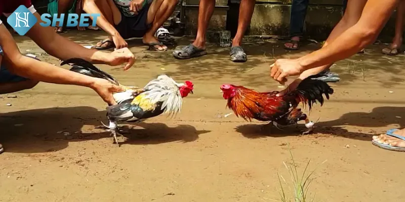 Những quy định rõ ràng mà nhà cái đã đặt cho người chơi