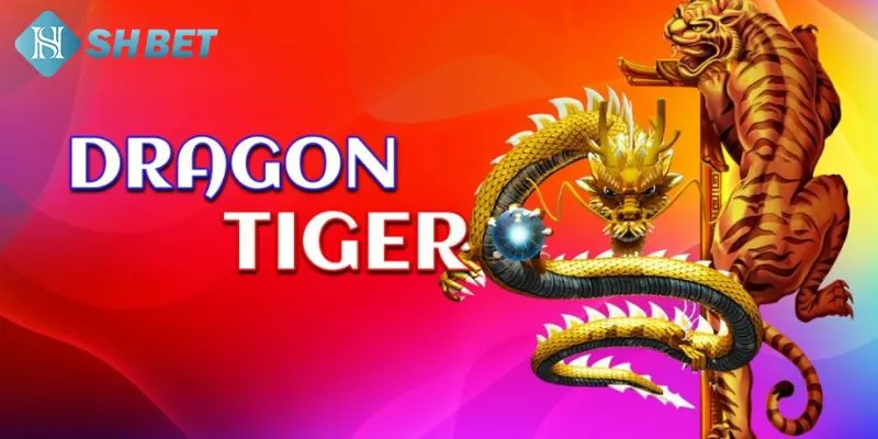 Tổng quan một số kiến thức hữu ích về cách chơi rồng hổ