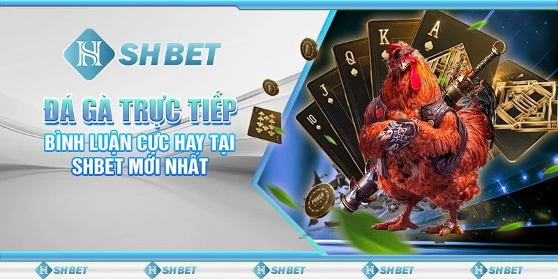 Đá Gà Trực Tiếp Bình Luận Cực Hay Tại SHBET Mới Nhất