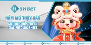 Nằm Mơ Thấy Rắn: Giải Mã Con Số Bí Ẩn Giấc Mơ Cùng SHBET