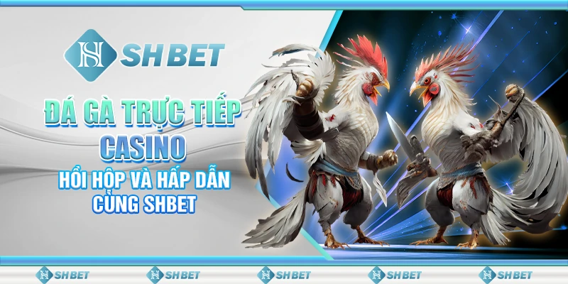 Đá Gà Trực Tiếp Casino: Hồi Hộp Và Hấp Dẫn Cùng SHBET