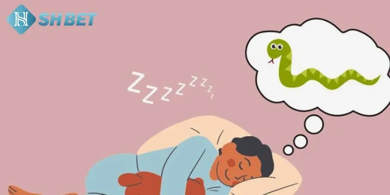Những giấc mơ thấy rắn vô cùng kỳ lạ có thể bạn đã gặp