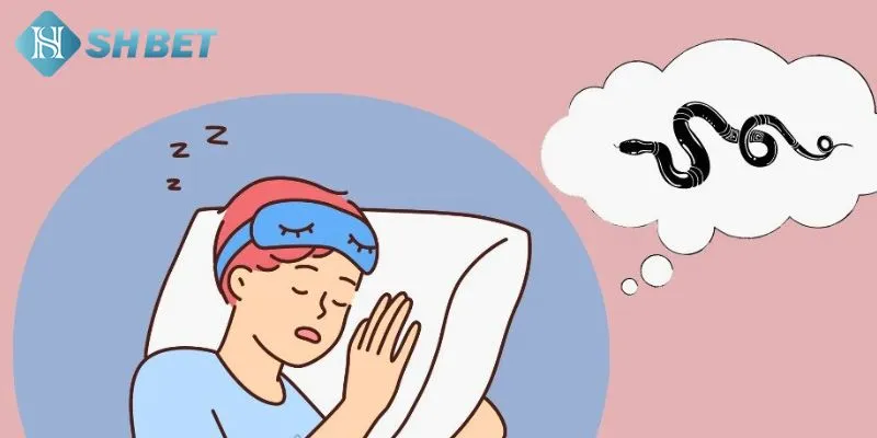 Ý nghĩa của giấc ngủ nằm mơ thấy rắn theo các văn khóa khác nhau